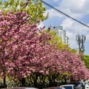 신복공원 이미지