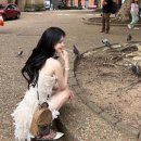 원칼라디자인 이미지
