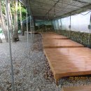 알프스관광펜션 이미지