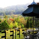 해여림식물원 이미지