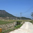 서부해안로(안치) 이미지