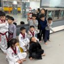 한국체대 정재환 태권도 이미지