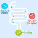 차전자피 식이섬유 효능, 부작용과 미궁365 대장사랑 오리지널 특징, 가격, 후기는?