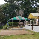 톱머리 펜션 이미지