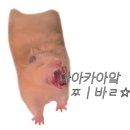 보광수산 이미지