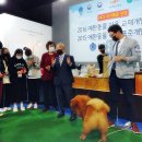 한국엔터테인먼트 이미지
