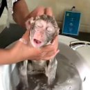 월드피시 | #28 피시즈니♡넝드림, 주문을 외워보쟈♡