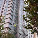 사이룩스 이미지