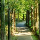 용소사계절 이미지