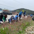 운봉읍 산덕마을 이미지