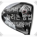에스비샵