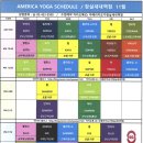 이다플라잉요가
