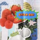 도기크루 이미지