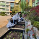 과천초등학교 이미지