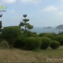 다대농장 이미지