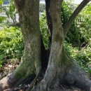 활천농장 이미지