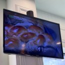 아토 | 시흥 오이도 맛집 이색 돈가스 누엘아토 후기