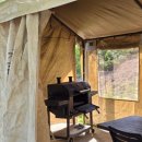 다빈이네 이미지