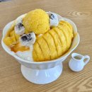 여수 망고빙수 맛집 웅천 소유 커피&amp;빙수