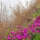 오금공원 이미지