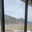 청도대형카페 성지 &lt;커피명가 청도점&gt; (ft. 애견동반가능 카페로 유명한 곳)