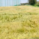 제주공감공인중개사사무소 이미지