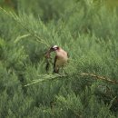 한국폴리텍 I 대학 서울강서캠퍼스 이미지