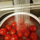 장흥대덕우체국 | 탱글탱글 맛있는 새봄씨네 방울토마토 추천해요~!!