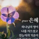 은혜농장 이미지