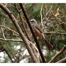 벽적골공원 이미지