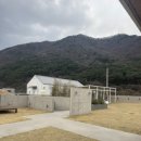 스테이 쉬온 이미지