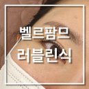 강남역속눈썹펌 2만원대에 가능하다고? 벨르팜므 속눈썹펌 후기공유