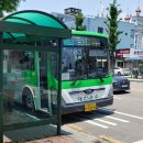 대진육교