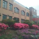 비상초등학교 이미지