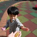 아시아선수촌아파트 이미지