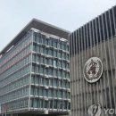 WHO &#34;캄보디아서 조류독감 인간감염 2건 확인…1명 사망&#34; 이미지