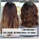 도솔로 | 축 처진 머리 살린 괴정동미용실 중단발펌 후기, 대전서구 1인미용실
