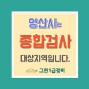 그린1급종합검사정비 이미지