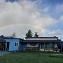 비자림민박 이미지