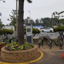 방아머리공원(솔밭) 이미지