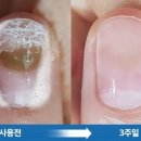손발톱샵