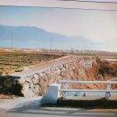 보물섬펜션 이미지