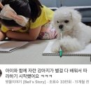 같이