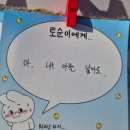 황희찬 샬케 데뷔전, 7번의 무게감? 아무도 몰랐던 진짜 뒷이야기</제목>