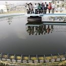 인간+자연 이미지