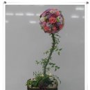 긴머리꽃방