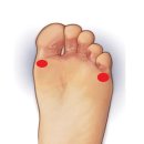 골든 피티 이미지