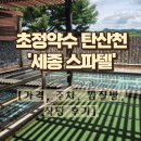 원천탕 | [청주 가볼만한곳] 초정약수 탄산천 힐링! 세종스파텔 가격, 주차, 찜질방, 식당 후기