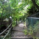 민들레울 이미지