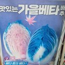 호남원예사 - 무안군 무안중앙로 37 | 호남원예사
